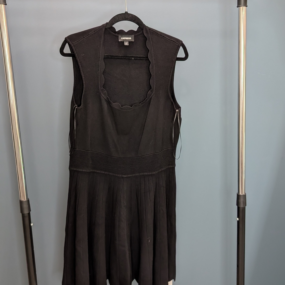 Express Black Sleeveless Plunge Neck Mini Dress